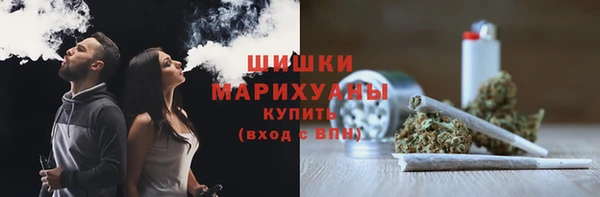 spice Богданович