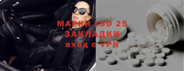 spice Богданович