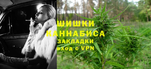 spice Богданович